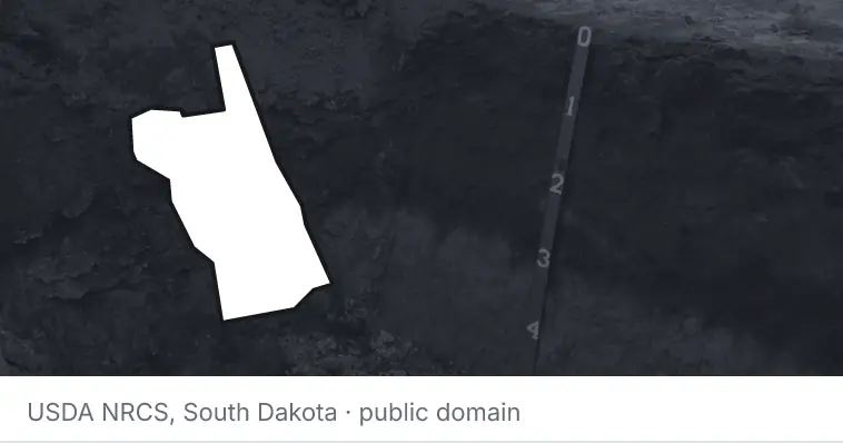 A soil profile in an open pit, under the outline of St. Johns County. The source names South Dakota.