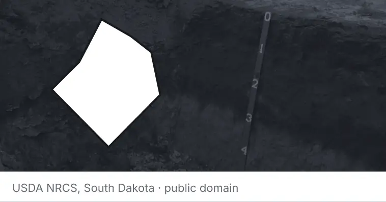 A soil profile in an open pit, under the outline of Bastrop County. The source names South Dakota.